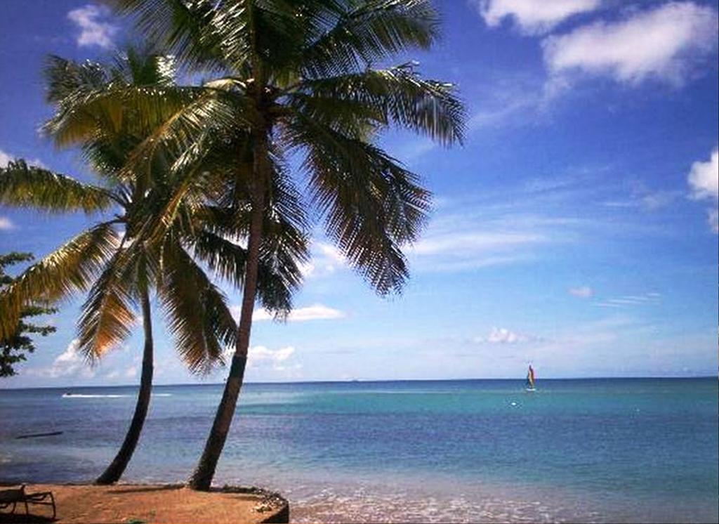Hotel East Winds St. Lucia à Gros Islet Extérieur photo